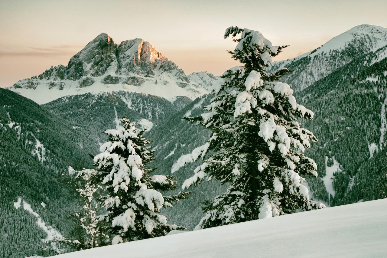 Herol - My Mountain Retreat Luson Bagian luar foto